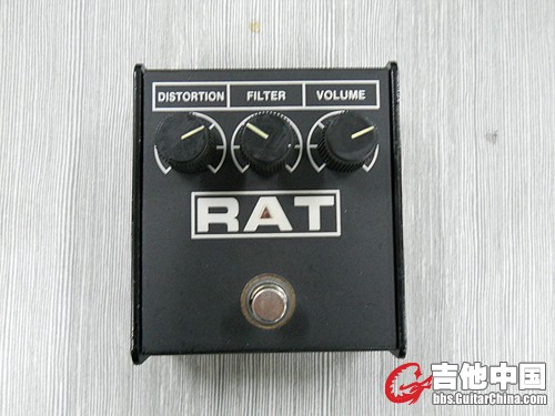 rat2.jpg
