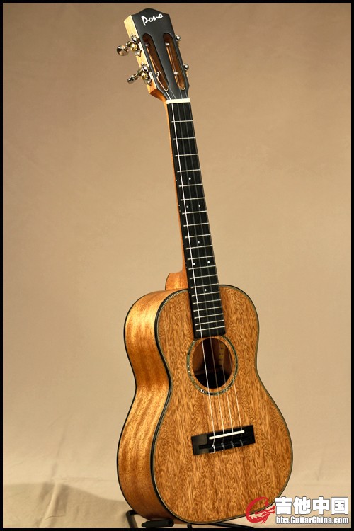 pono_MHTSHC_02.jpg