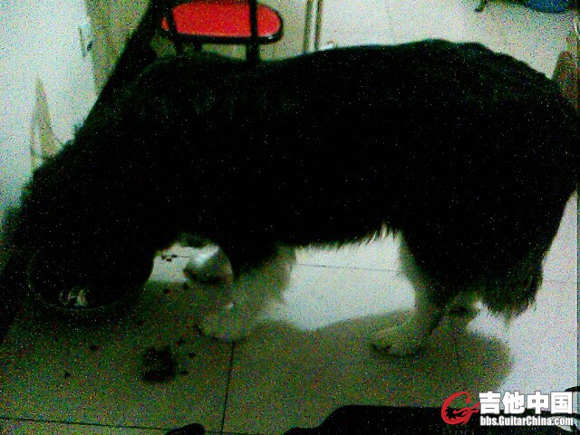 IMG0024A.jpg