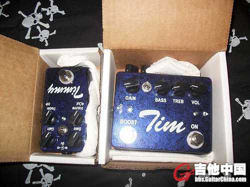 Tim Timmy