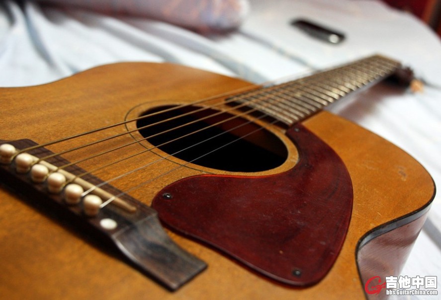GIBSON (10).jpg