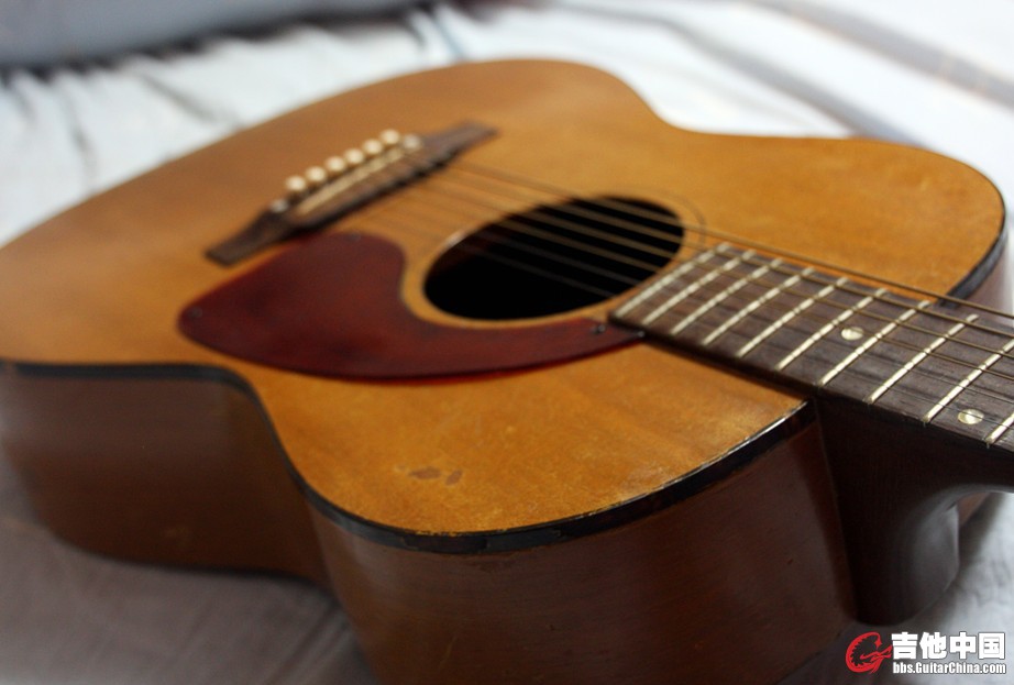 GIBSON (6).jpg