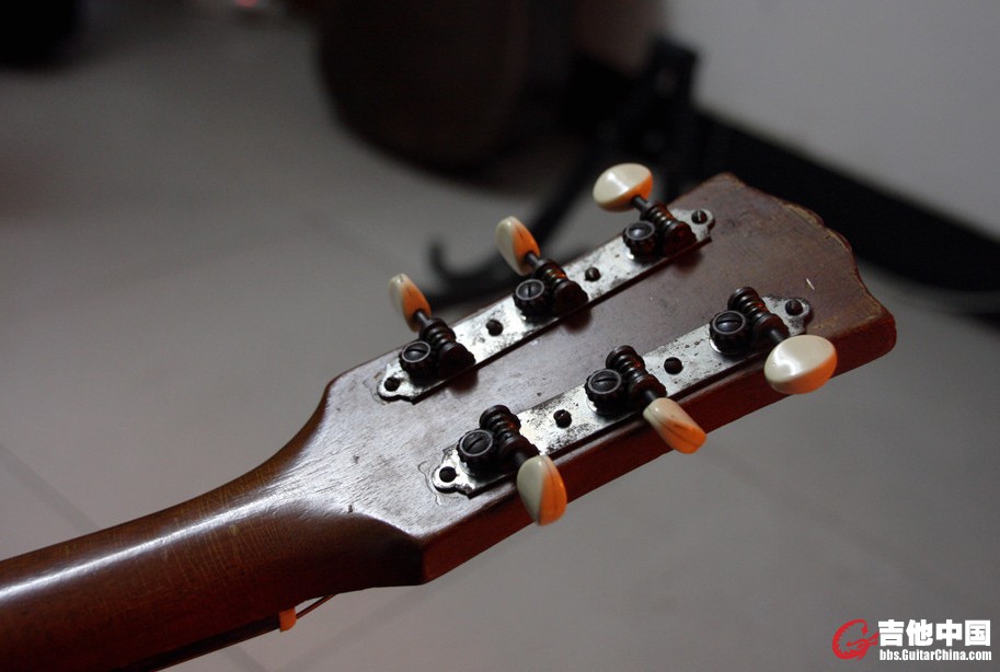 GIBSON (7).jpg