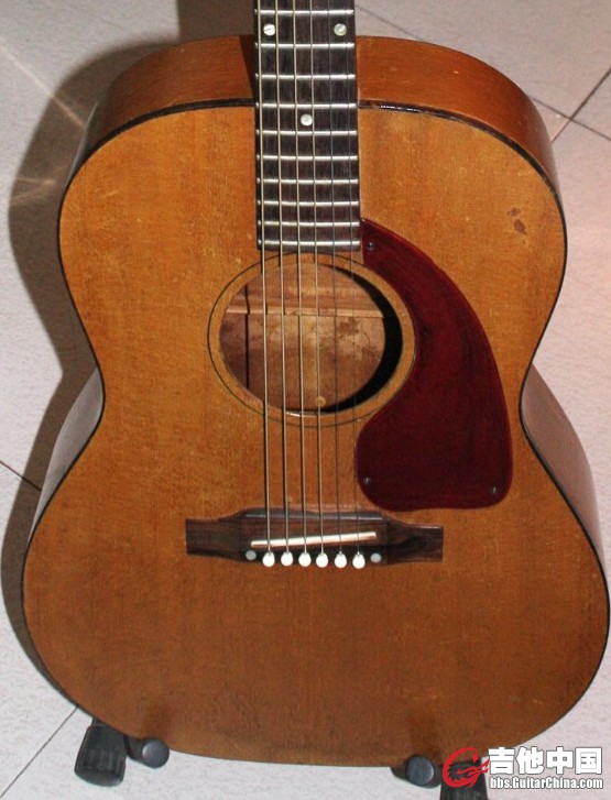 GIBSON (9).jpg