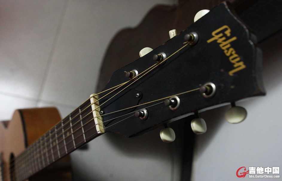 GIBSON (4).jpg