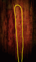 IMAG0488_副本.png