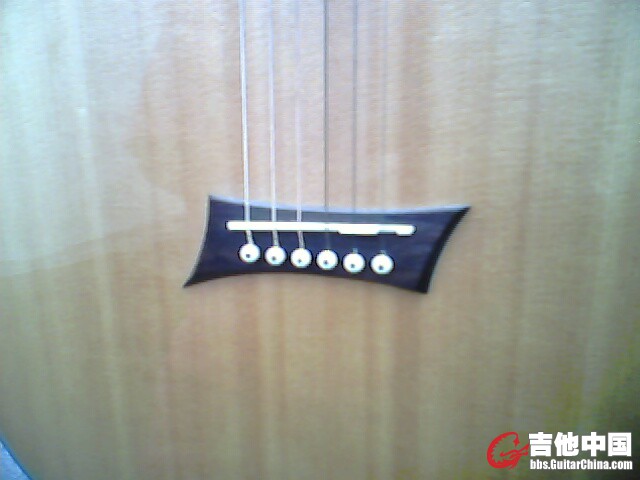 IMG0295A.jpg
