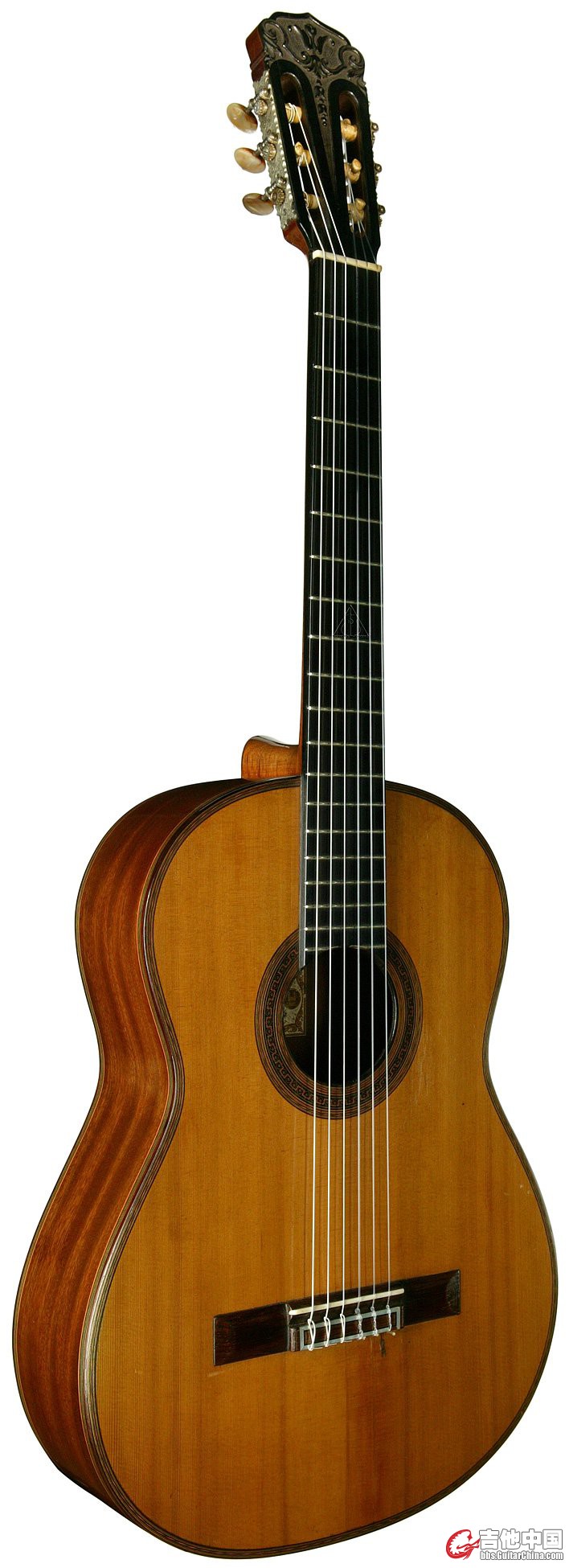 guitar_fa_lg_103.jpg