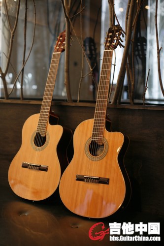 pavguitar_side_by_side_upright_007.sized.jpg