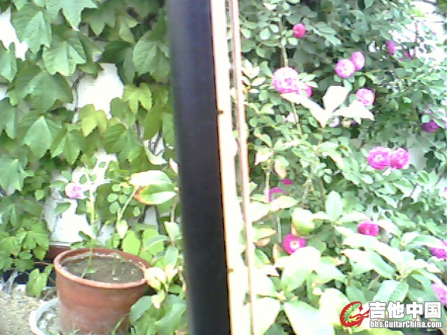 IMG0329A.jpg