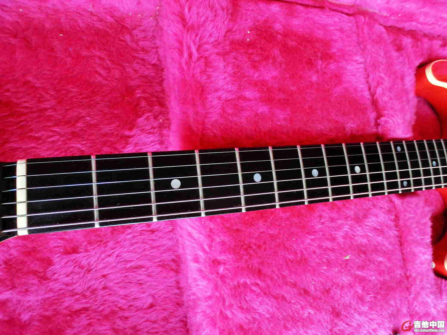 CIMG0245.jpg
