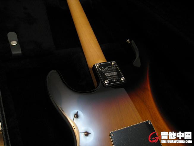 USA SCHECTER CUSTOM SHOP 012.jpg