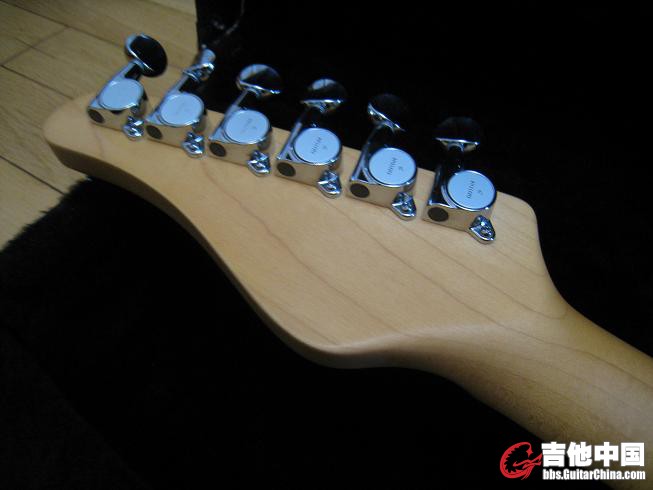 USA SCHECTER CUSTOM SHOP 015.jpg