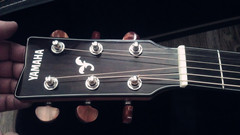 IMAG0806.jpg