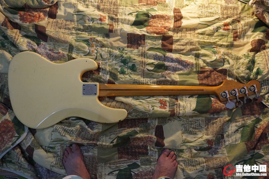 fenderback.jpg