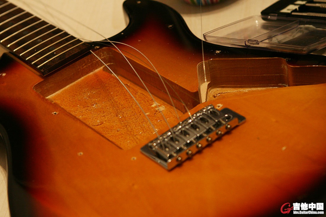 Fernandes-3.jpg