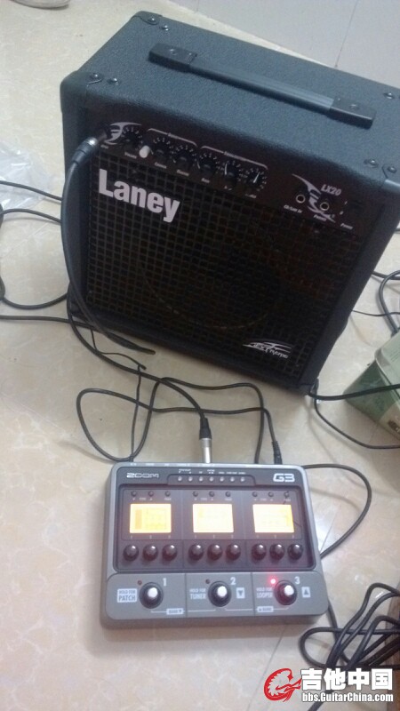 laney .jpg