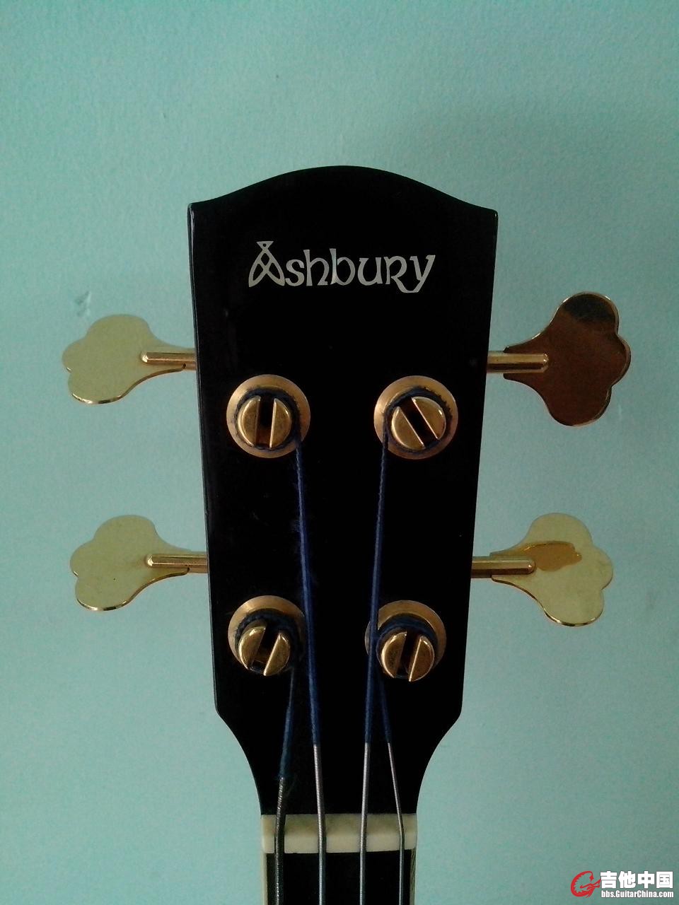 SHBURY-琴头.jpg