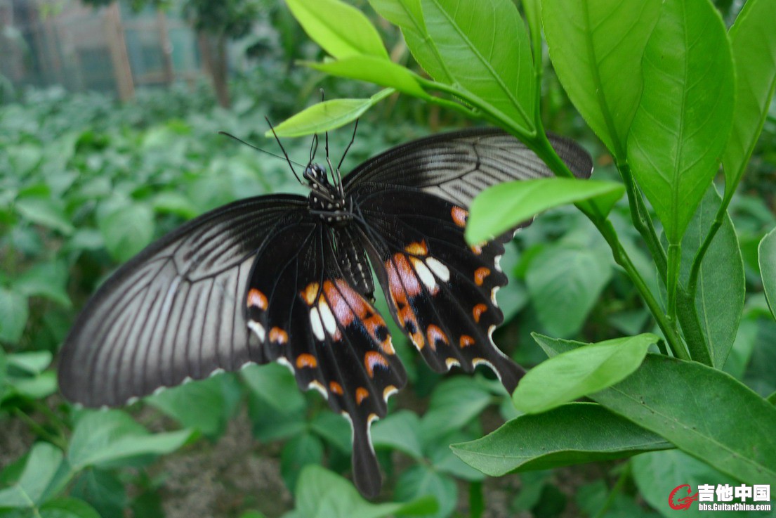 L1680910_缩小大小.JPG