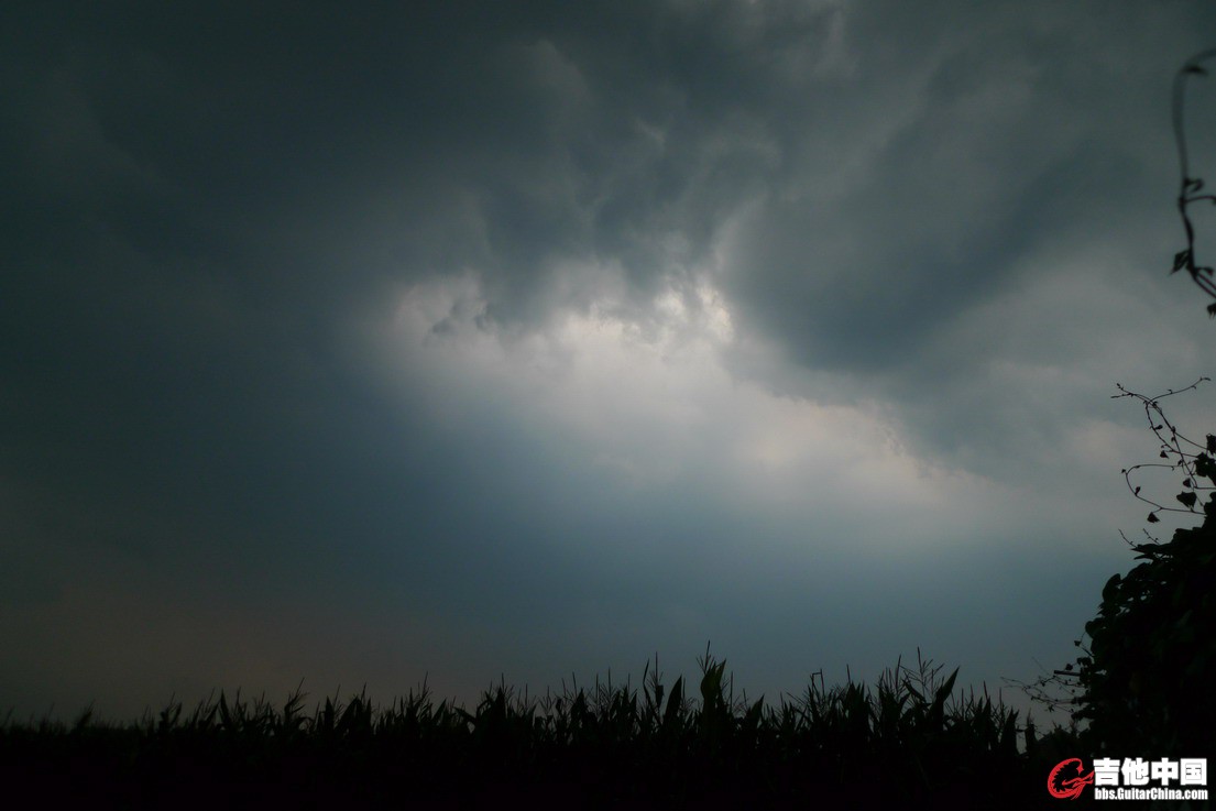 L1690242_缩小大小.JPG