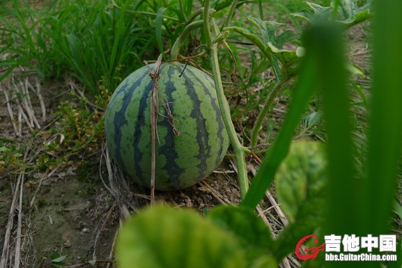 L1690179_缩小大小.JPG