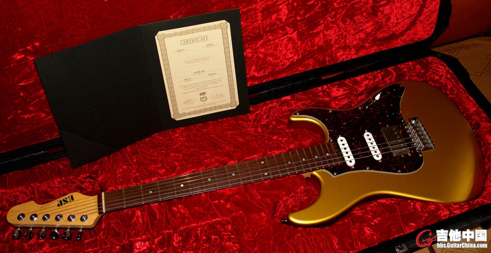 ESP Custom Shop_2.jpg