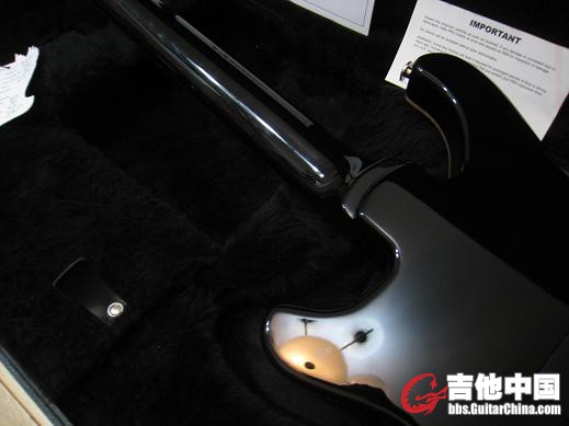 513 绿 010.jpg