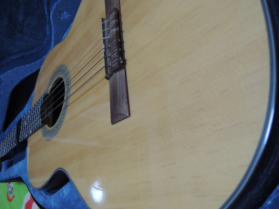 DSCN2050.jpg
