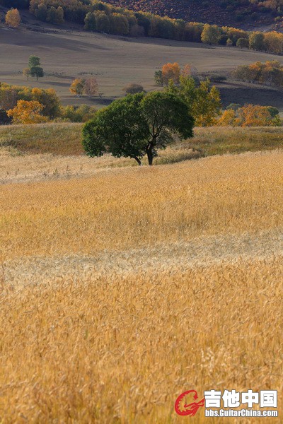 9V3C0008.JPG