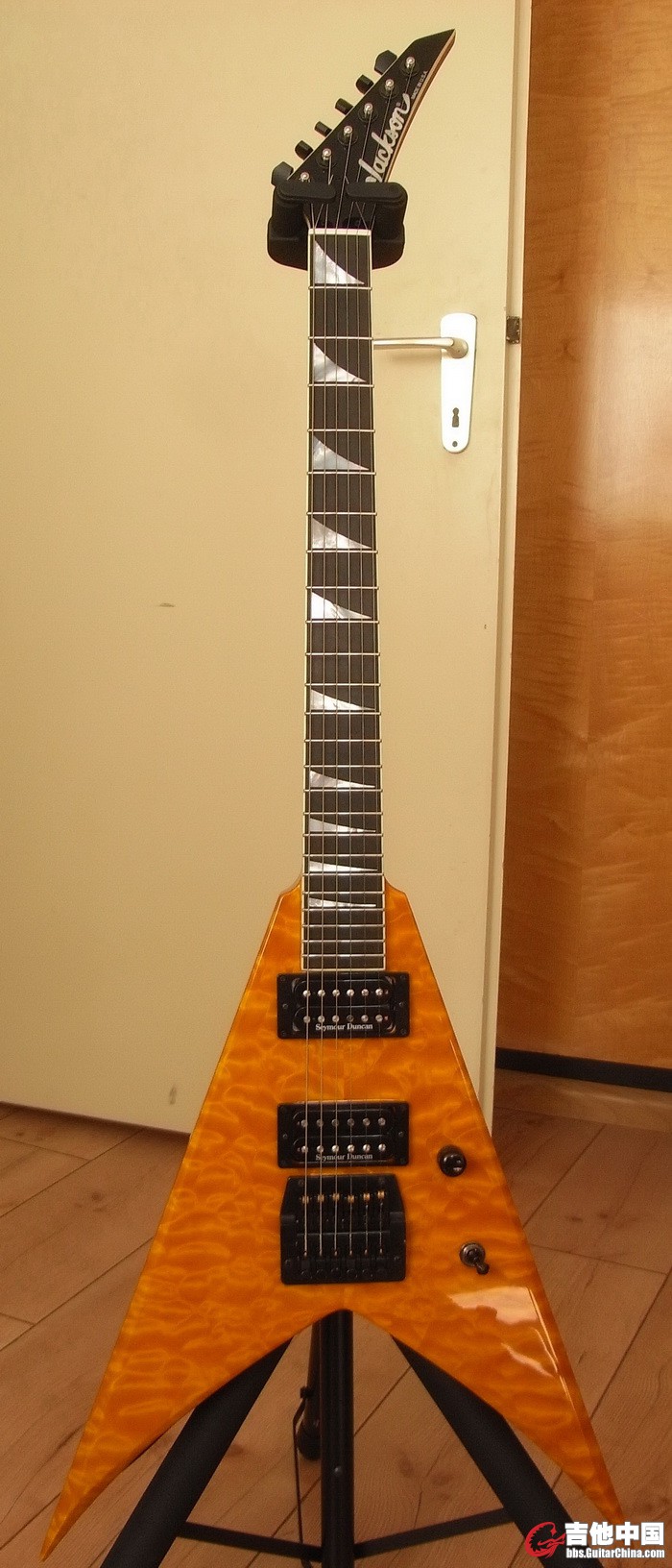 RIMG0388ns.jpg