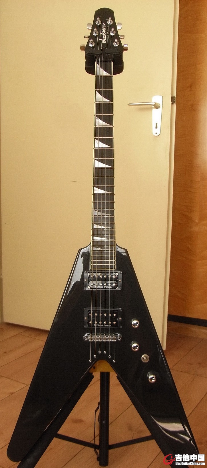 RIMG0373ns.jpg