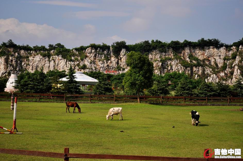 调整大小 _DSC0639.jpg