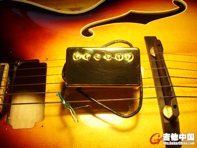 SSL21991.JPG