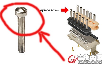 Polepiece_Screw_sm.1.jpg