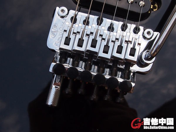 EVH 黑色 双摇电吉他 (3).JPG