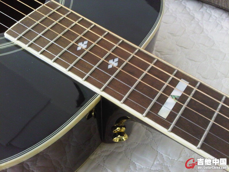 IMG01605-20131015-1514.jpg