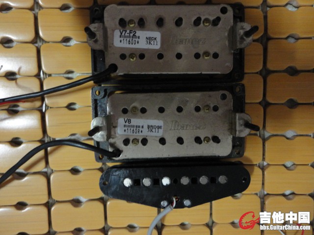 DSC07868.JPG