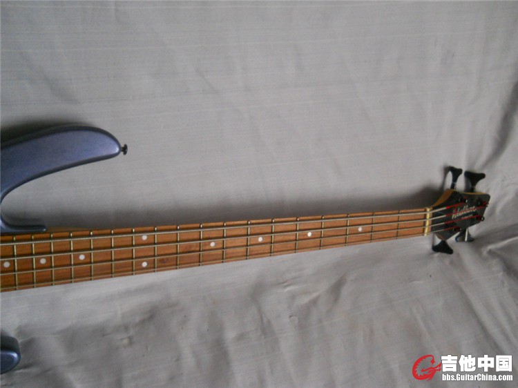 DSCN5668.jpg