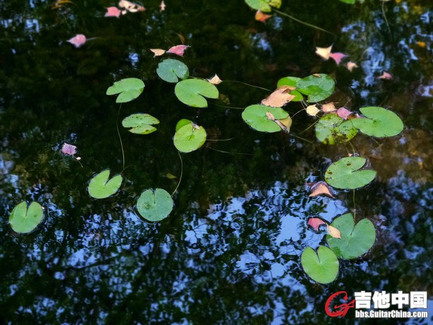 调整大小 P1010309_副本.jpg
