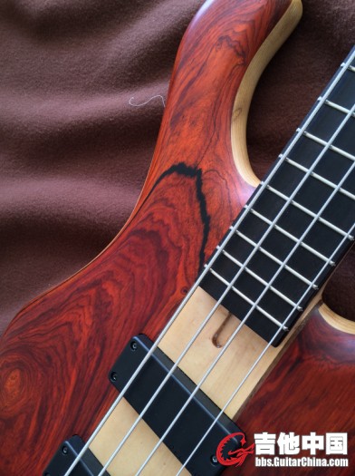 03Passive Cocobolo 4.jpg