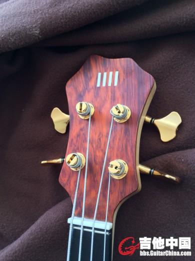 05Passive Cocobolo 4.jpg