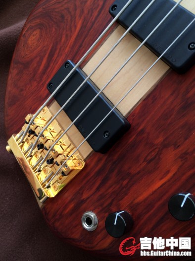 04Passive Cocobolo 4.jpg