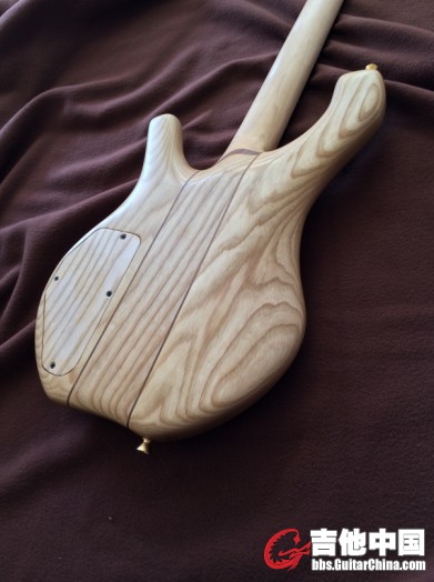08Passive Cocobolo 4.jpg