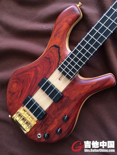 02Passive Cocobolo 4.jpg