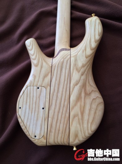 07Passive Cocobolo 4.jpg