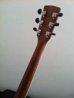 50031 (780).JPG