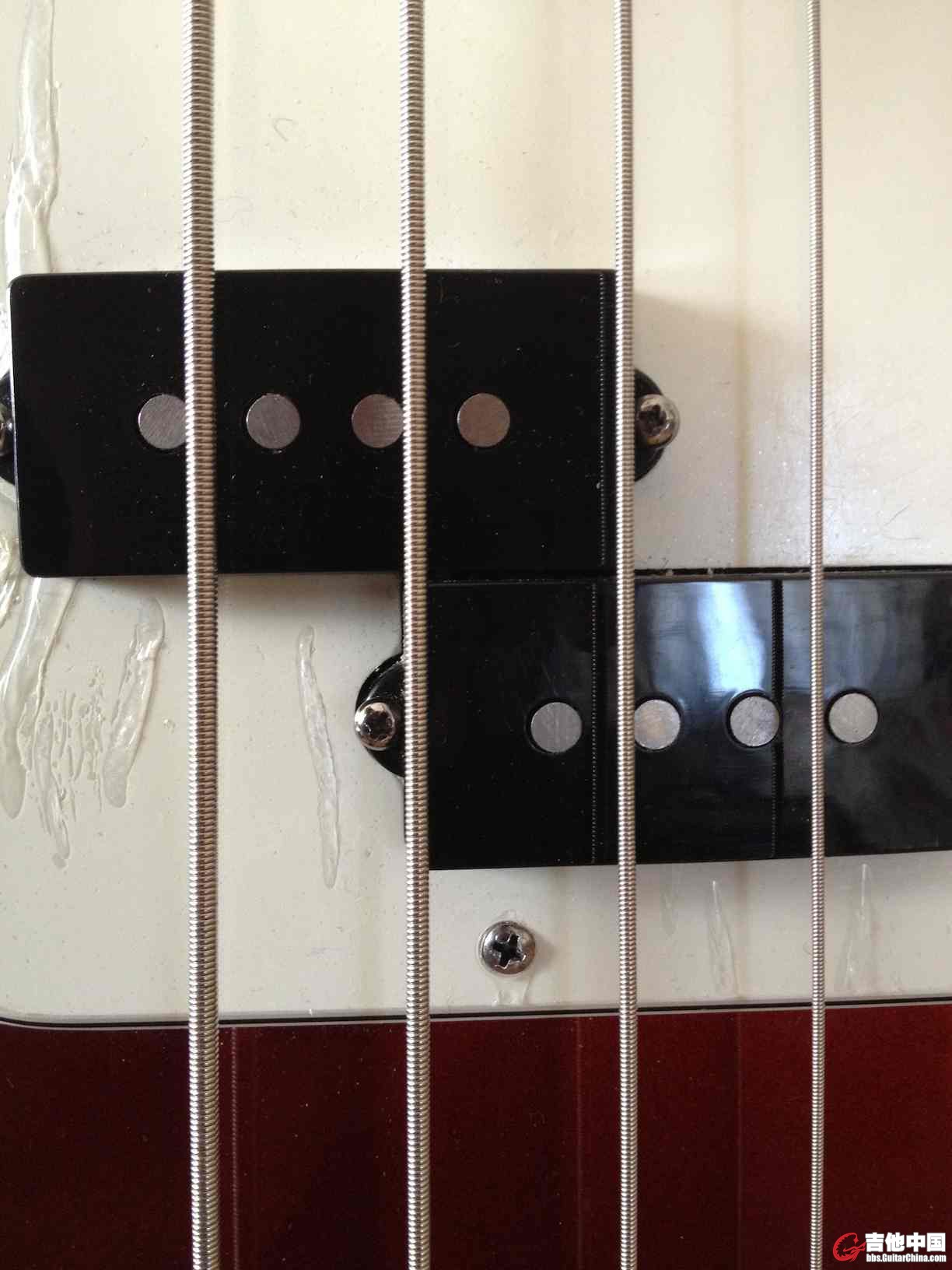 Bass-10.jpg
