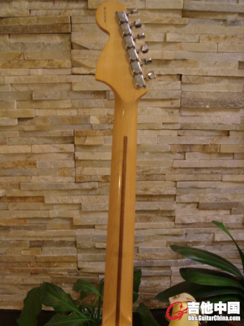 DSC02496.JPG