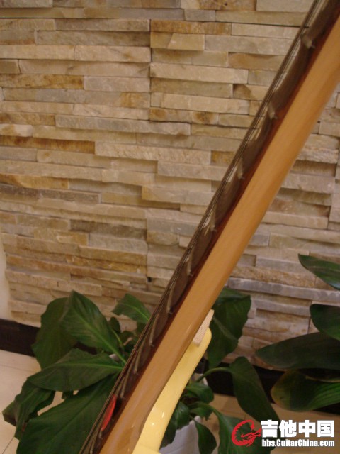 DSC02507.JPG