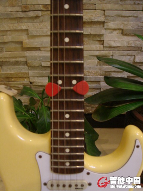 DSC02505.JPG